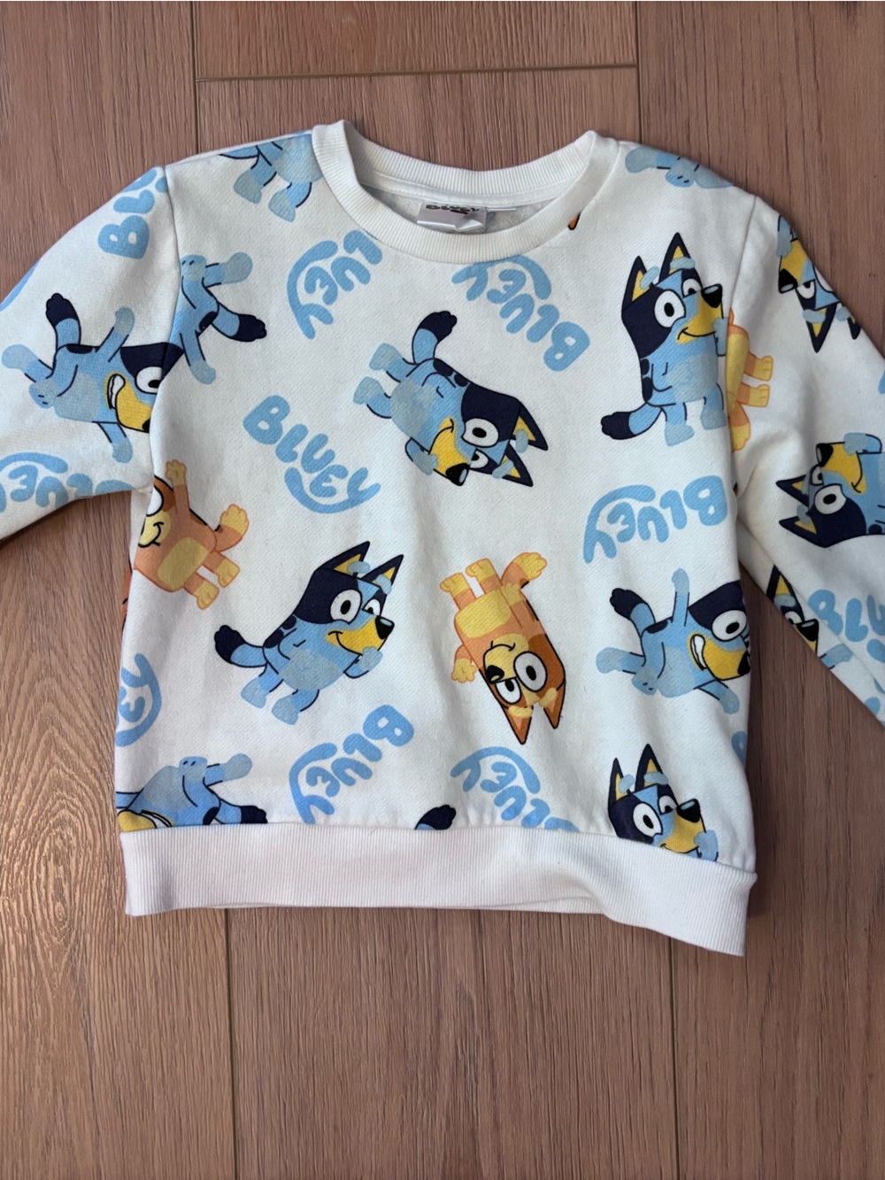 Bluey Kids Pullover - Blue, Yellow, White Print